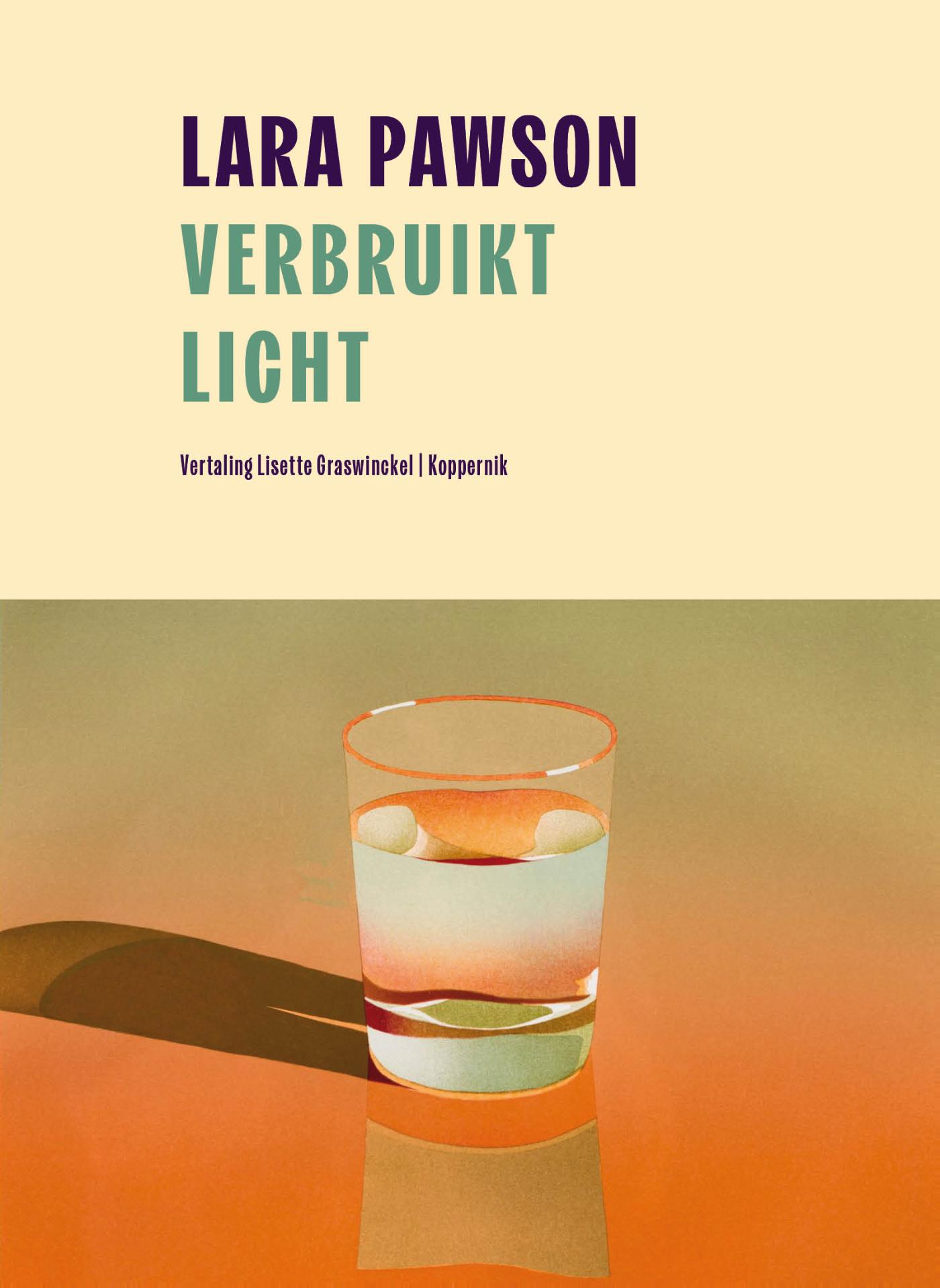 Omslag van Verbruikt licht