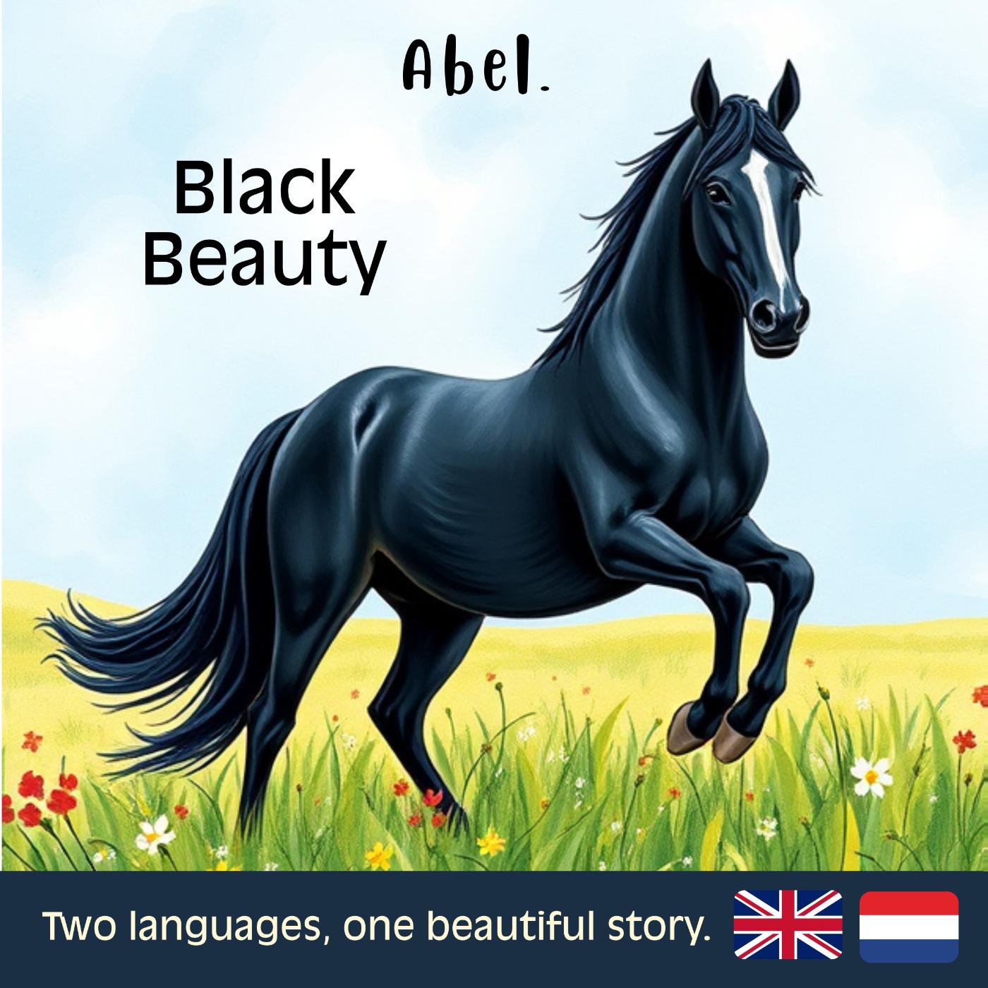 Omslag van Black Beauty