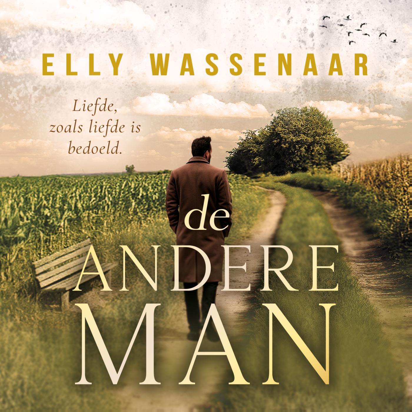 Omslag van De andere man
