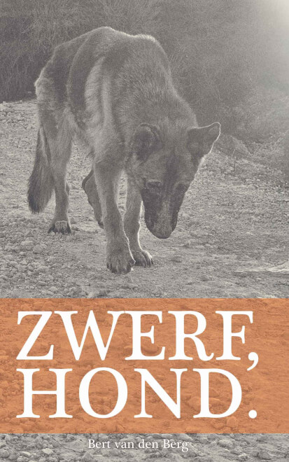 Omslag van Zwerf, hond.