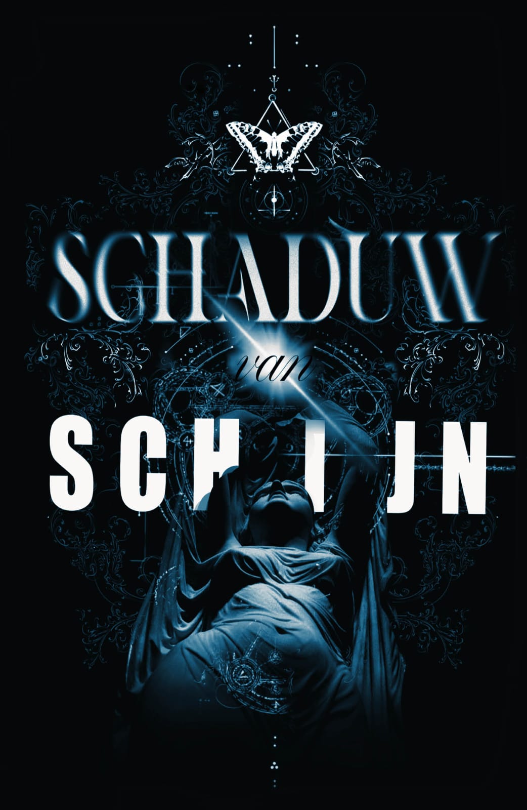 Omslag van Schaduw van schijn