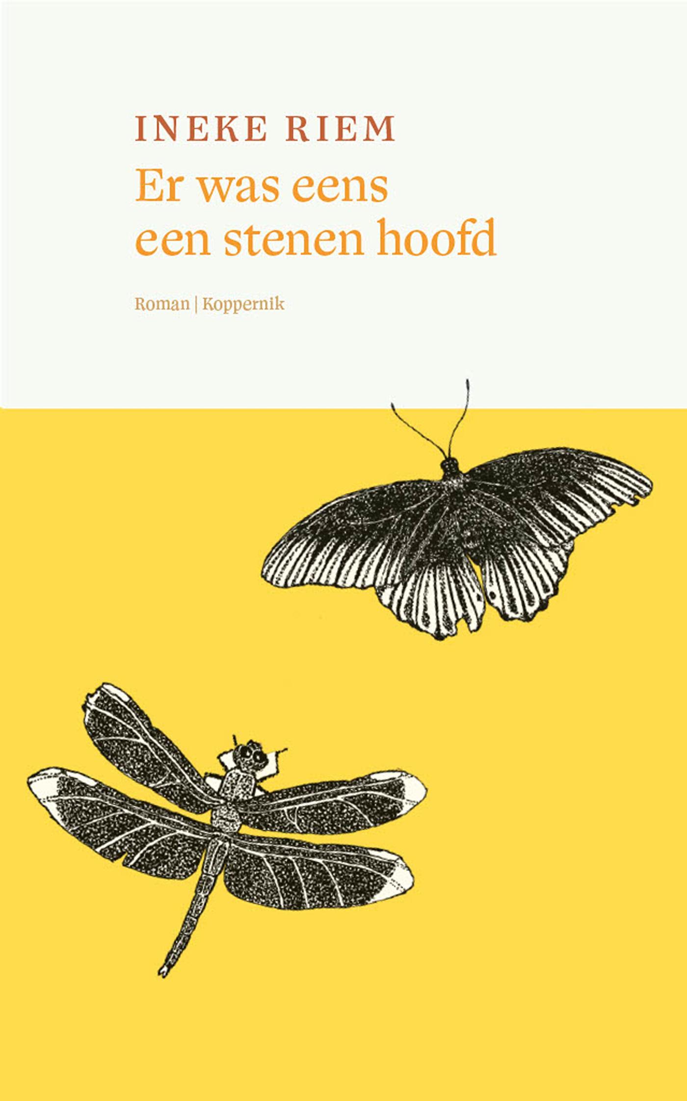 Omslag van Er was eens een stenen hoofd