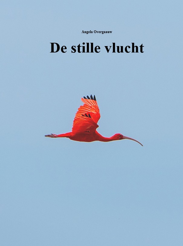 Omslag van De stille vlucht