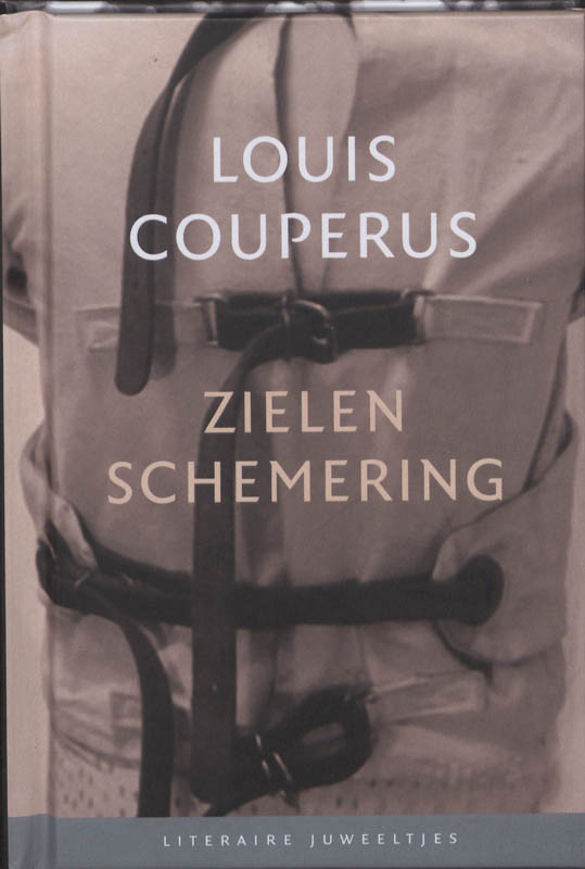 Omslag van Zielenschemering