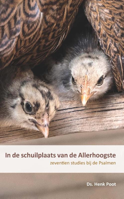 Omslag van In de schuilplaats van de Allerhoogste