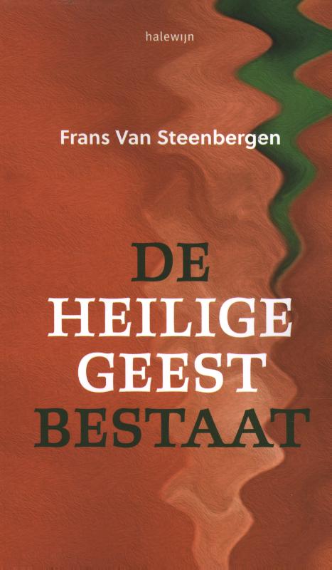 Omslag van De Heilige Geest bestaat