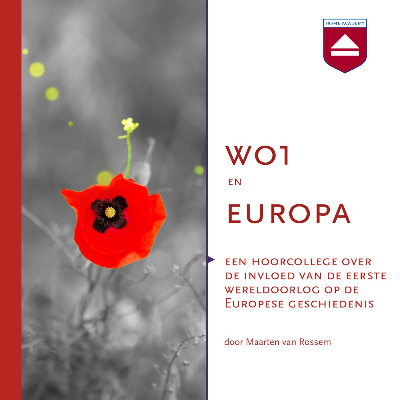 Omslag van WO1 en Europa