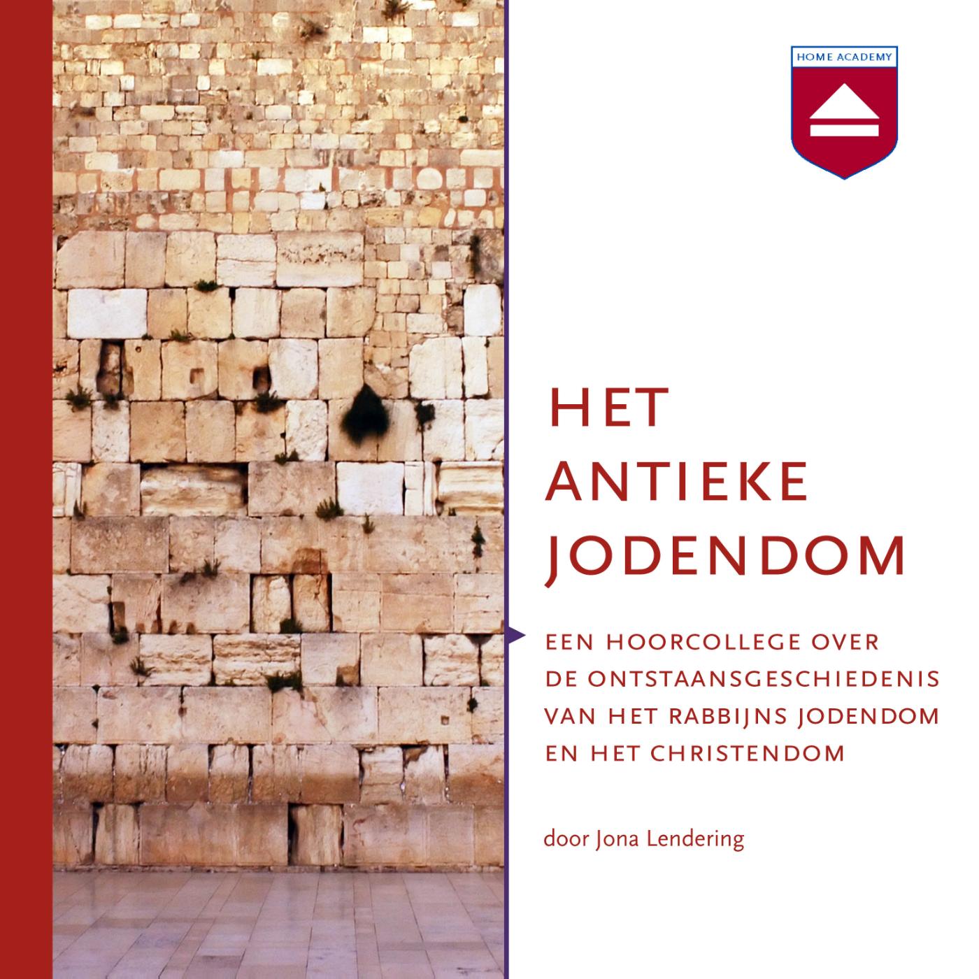Omslag van Het antieke jodendom