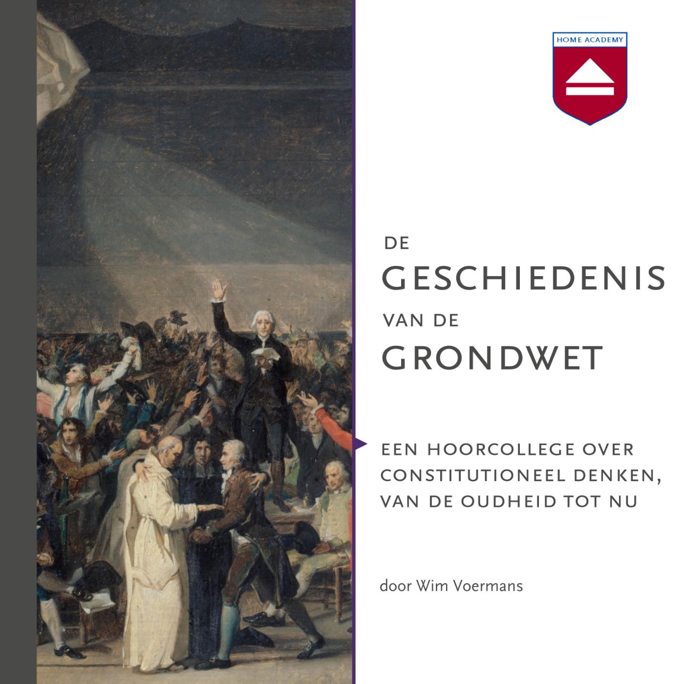 Omslag van De geschiedenis van de grondwet