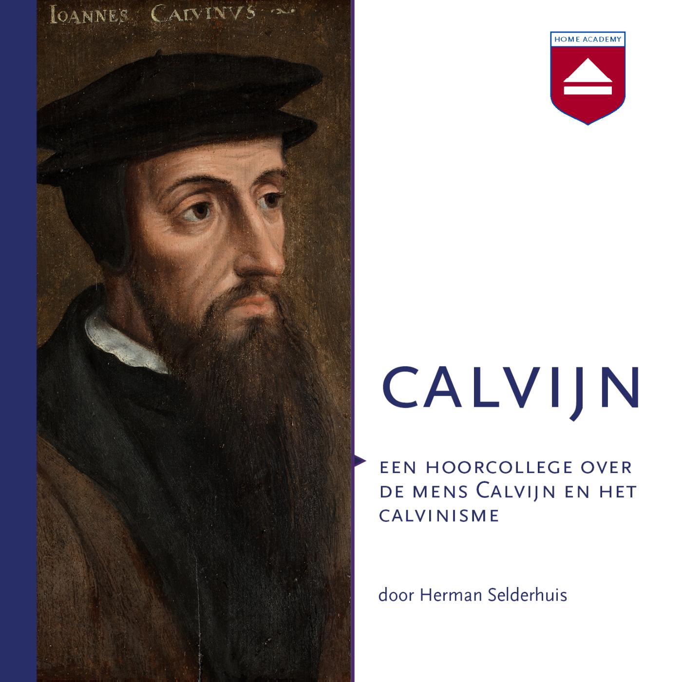Omslag van Calvijn