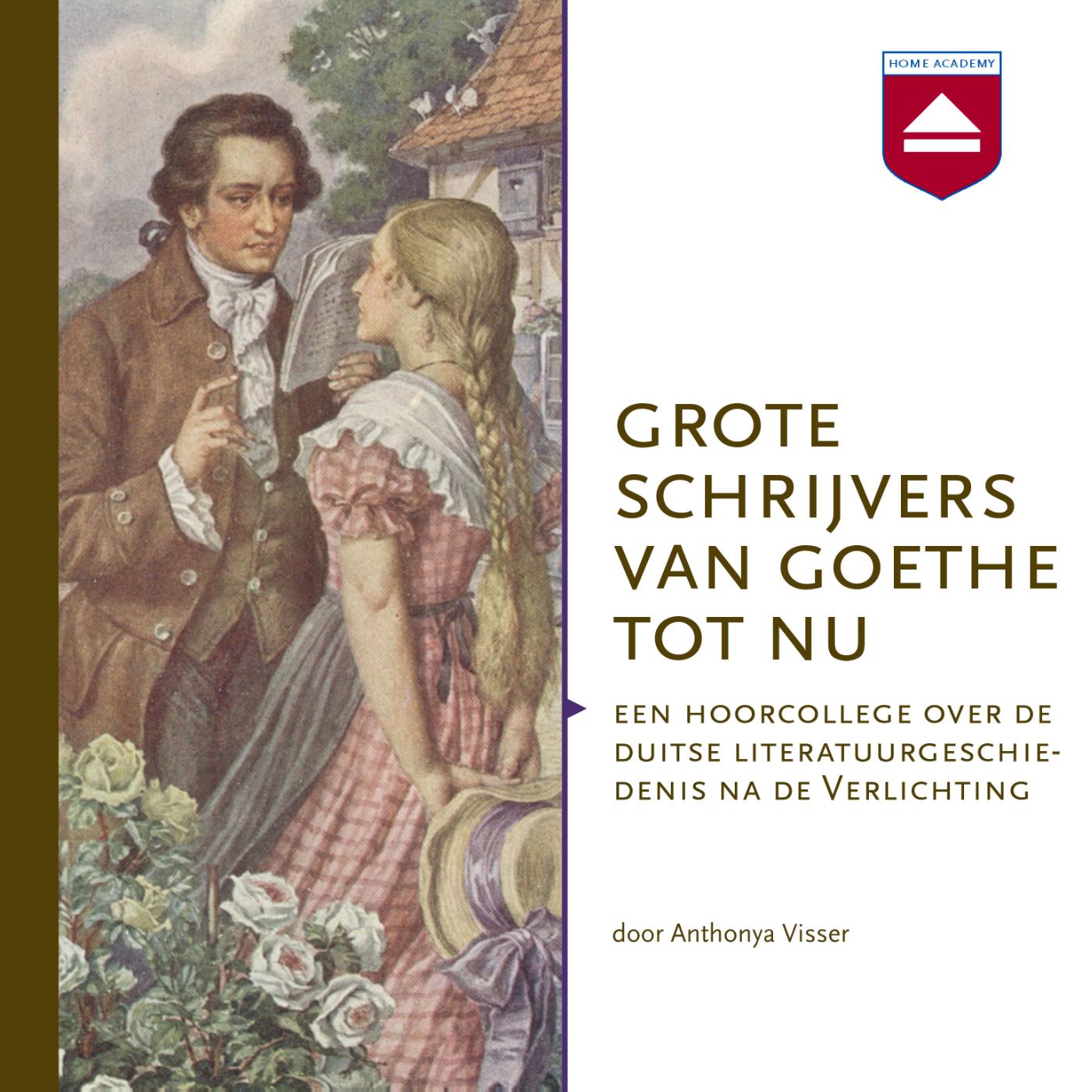 Omslag van Grote schrijvers van Goethe tot nu