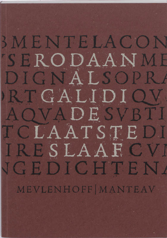 Omslag van De laatste slaaf