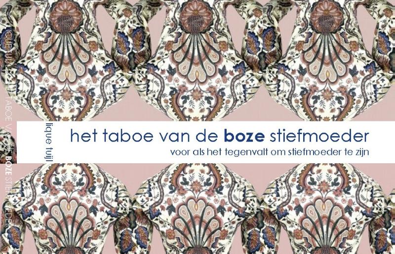 Omslag van Het taboe van de boze stiefmoeder