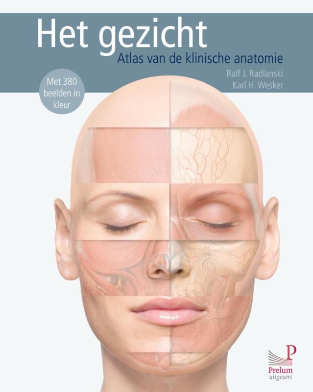 Omslag van Het gezicht