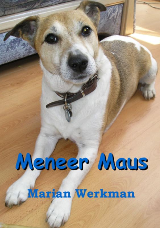 Omslag van Meneer Maus