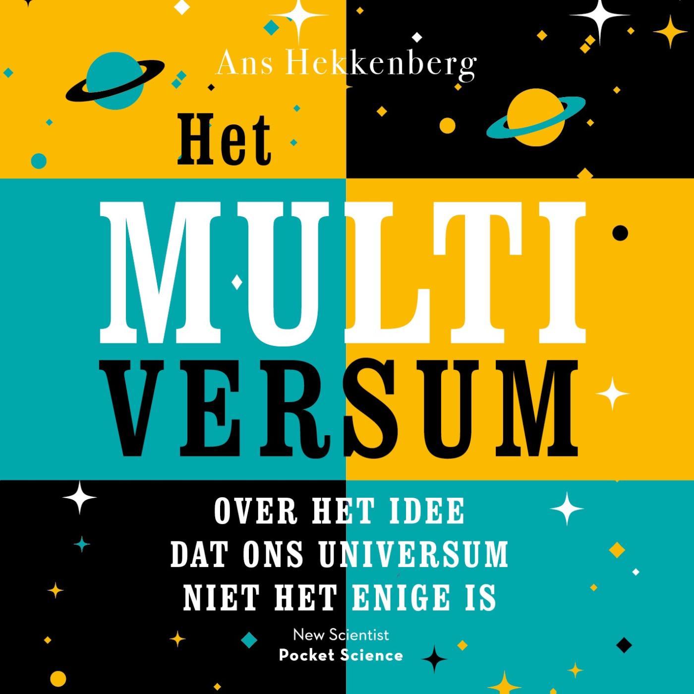 Omslag van Het multiversum