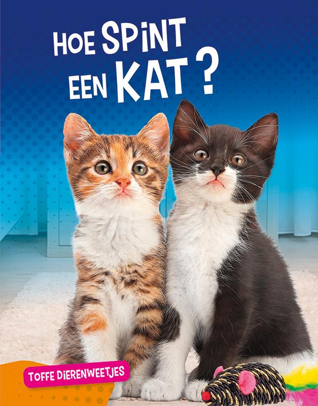 Omslag van Hoe spint een kat?