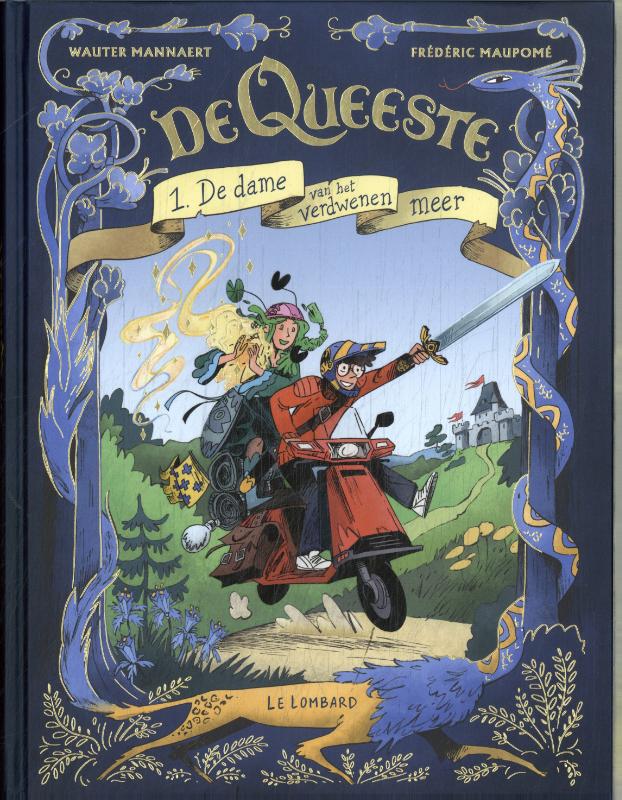 Omslag van De dame van het verdwenen meer