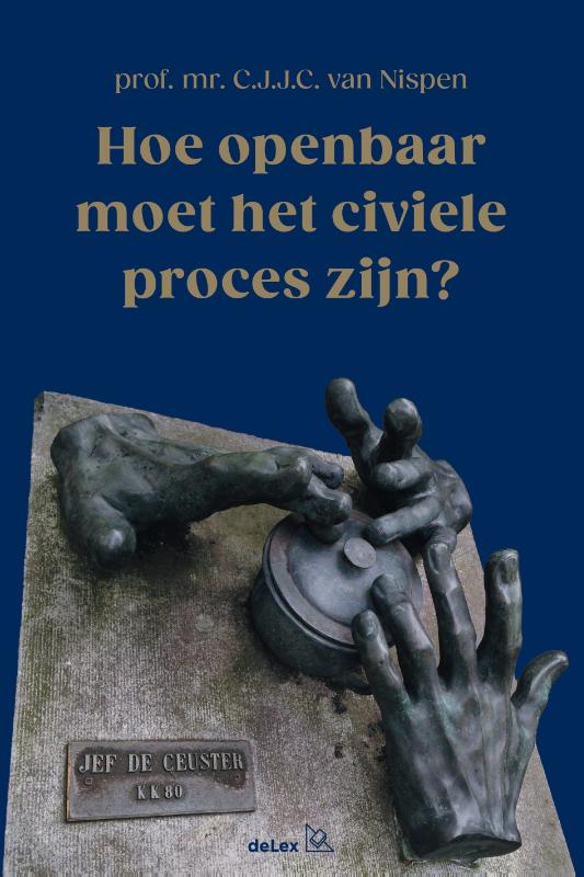 Omslag van Hoe openbaar moet het civiele proces zijn?