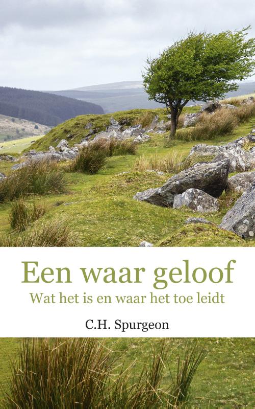 Omslag van Een waar geloof