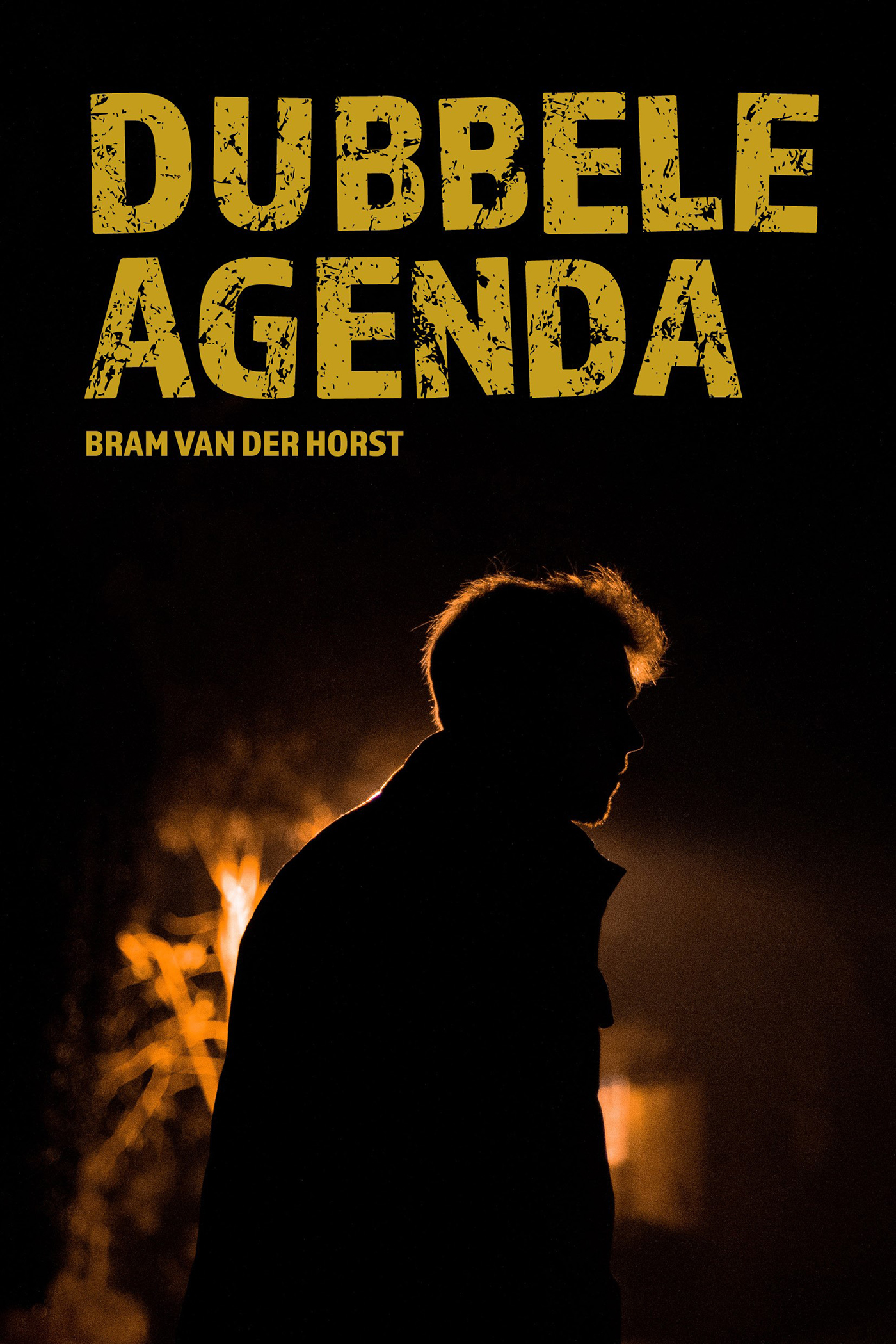 Omslag van Dubbele agenda