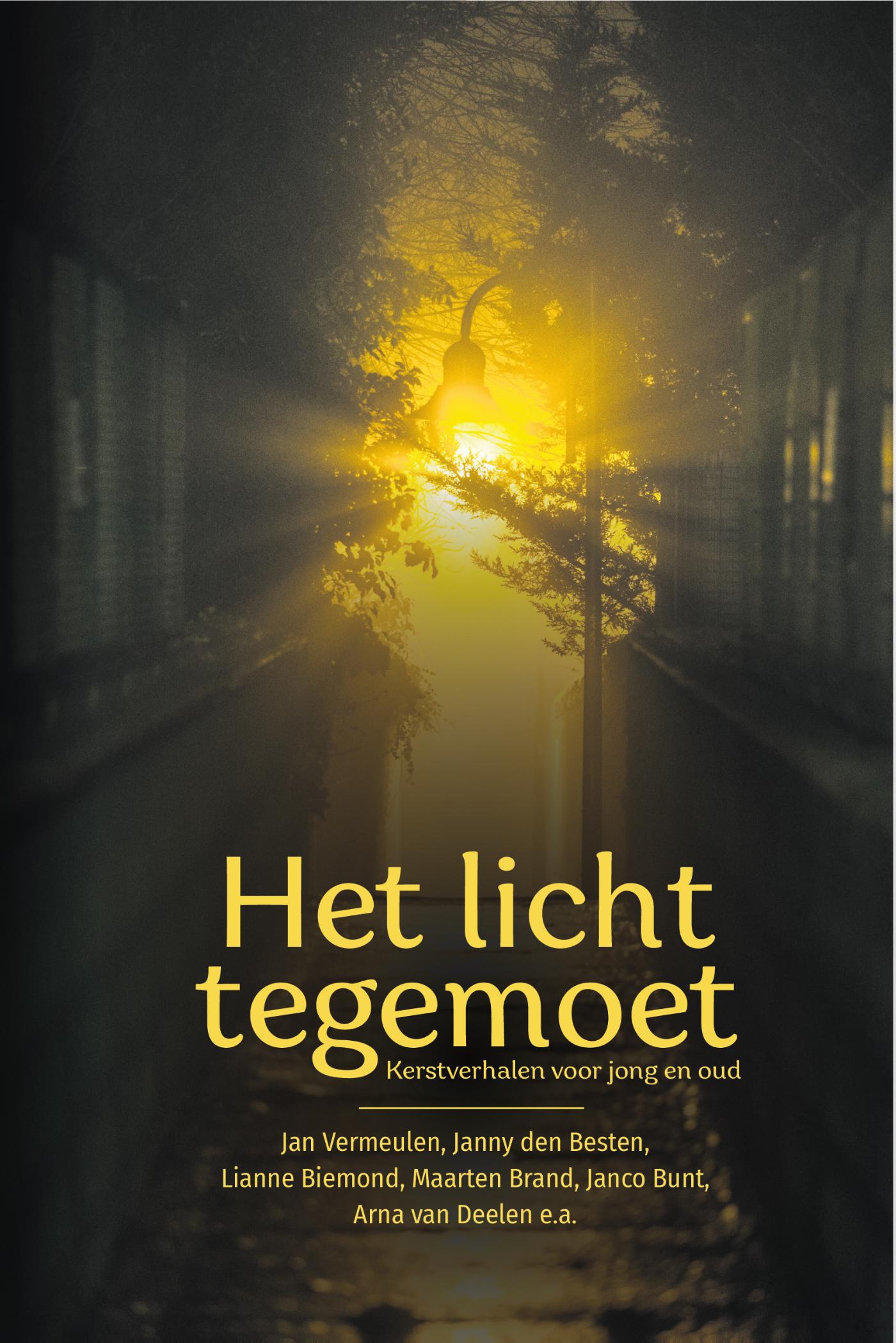 Omslag van Het licht tegemoet