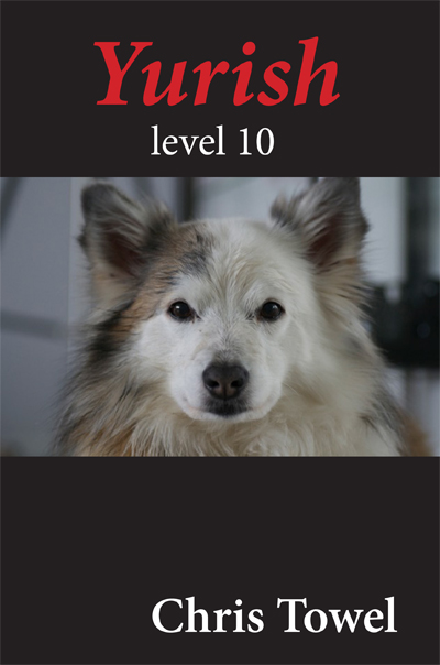 Omslag van Yurish level 10
