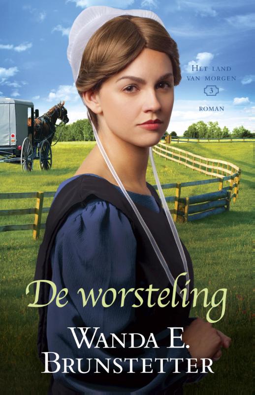 Omslag van De worsteling