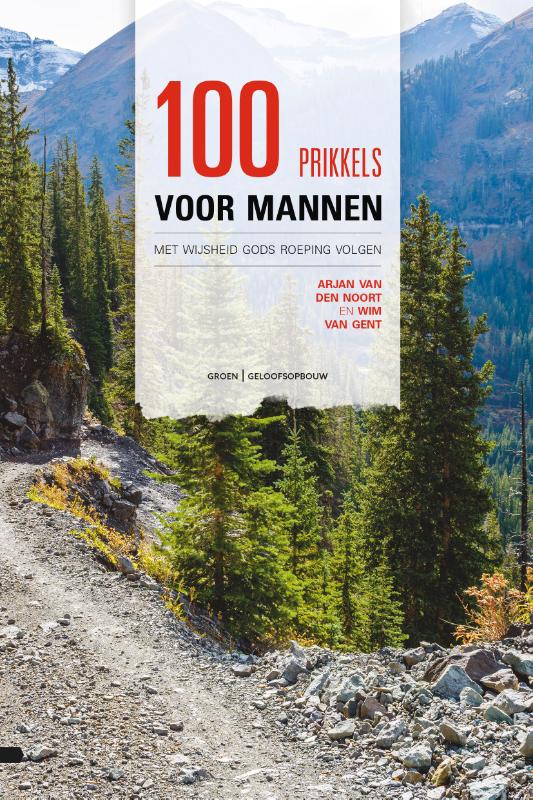 Omslag van 100 prikkels voor mannen