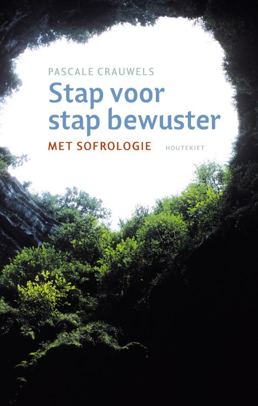 Omslag van Stap voor stap bewuster
