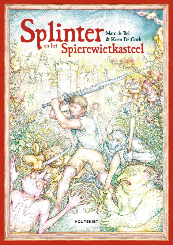 Omslag van Splinter