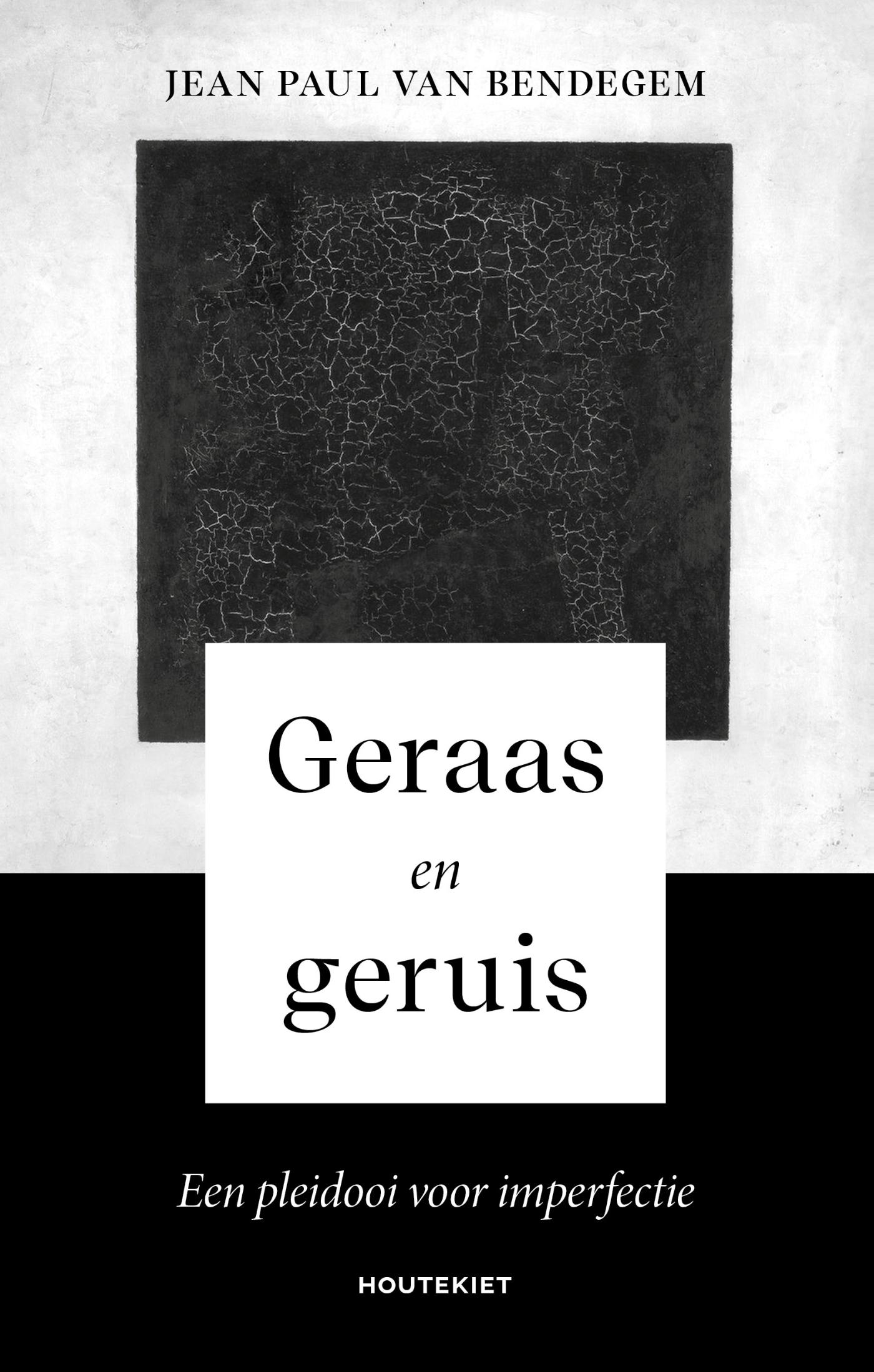 Omslag van Geraas en geruis