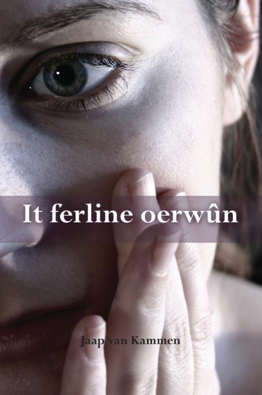 Omslag van It ferline oerwûn