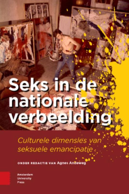 Omslag van Seks in de nationale verbeelding