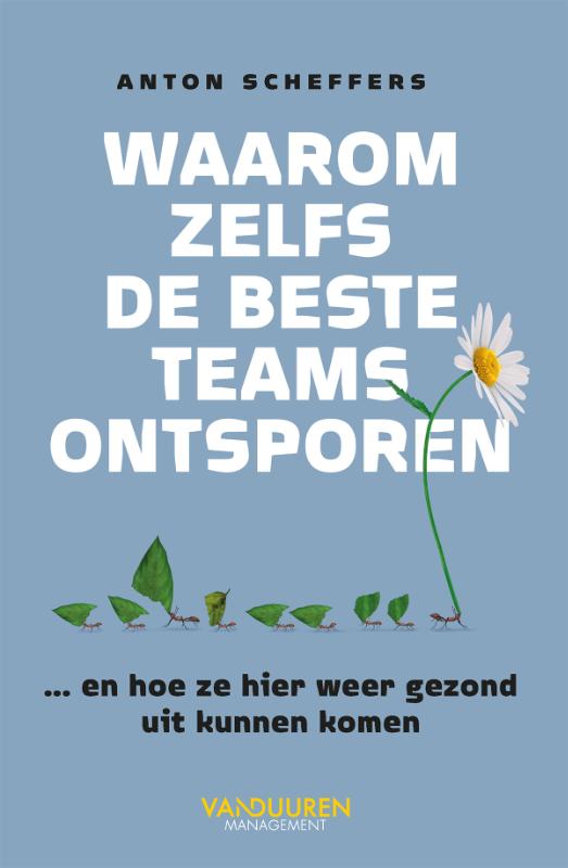 Omslag van Waarom zelfs de beste teams ontsporen