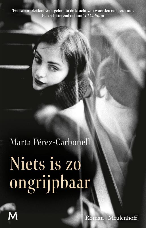 Omslag van Niets is zo ongrijpbaar