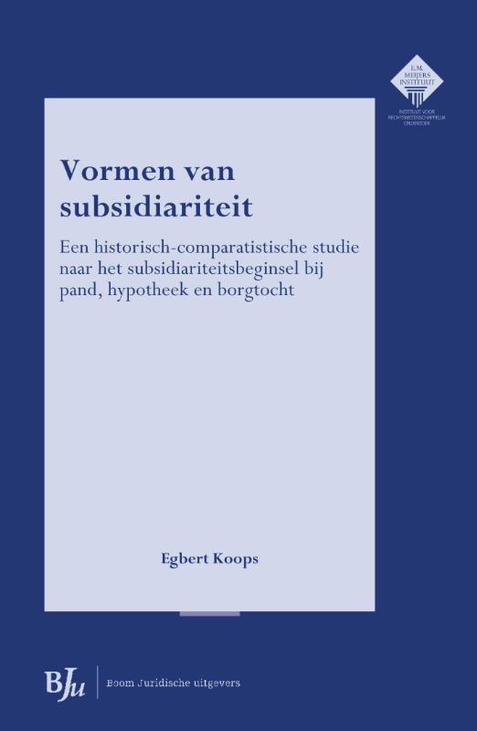 Omslag van Vormen van subsidiariteit