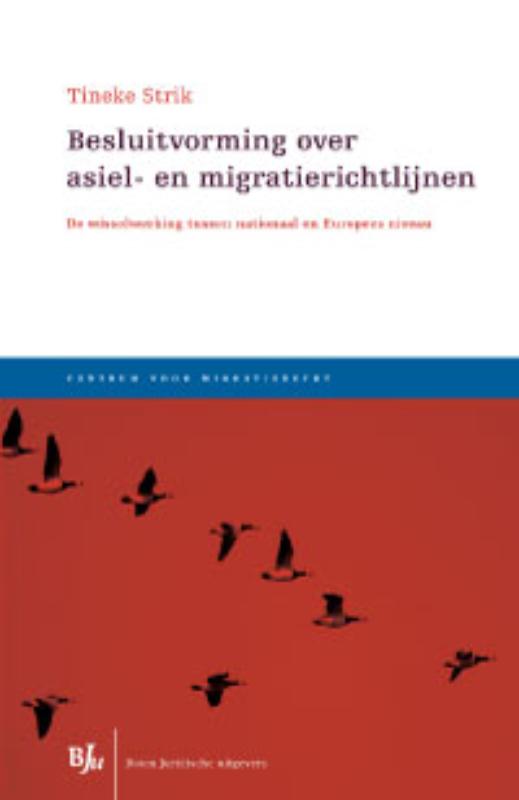 Omslag van Besluitvorming over asiel- en migratierichtlijnen