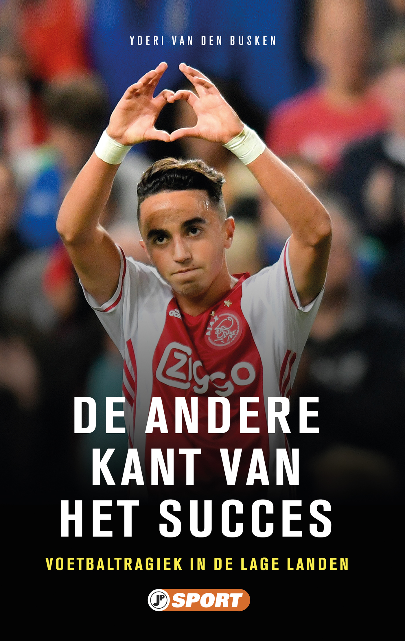 Omslag van De andere kant van het succes