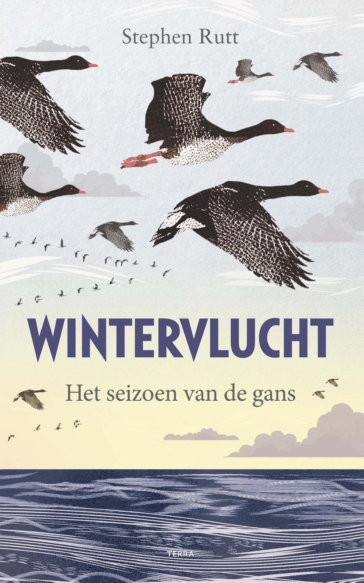 Omslag van Wintervlucht