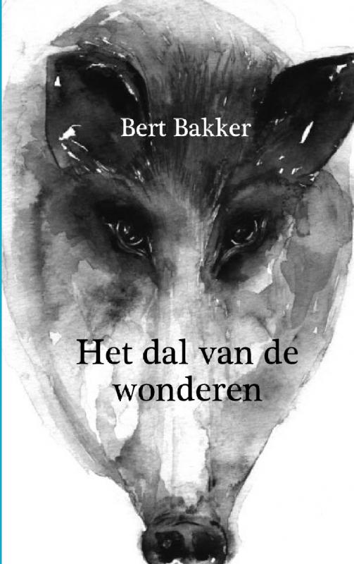 Omslag van Vallee des Merveilles