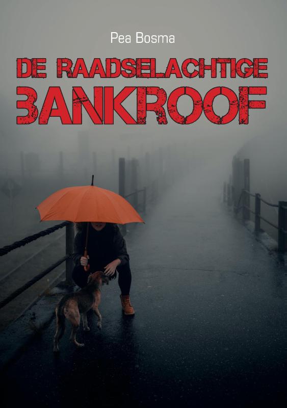 Omslag van De raadselachtige bankroof