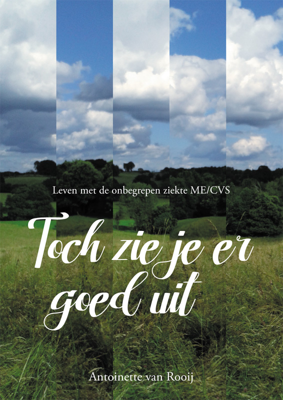 Omslag van Toch zie je er goed uit