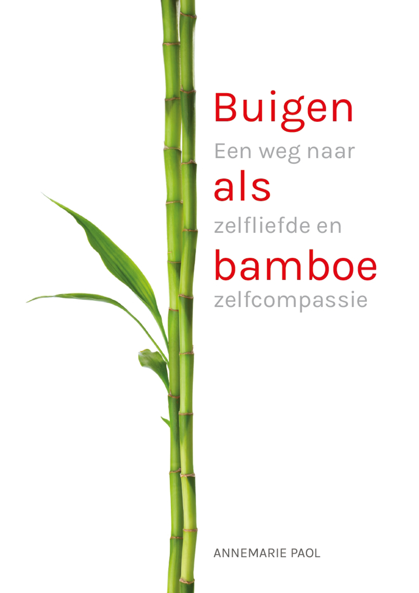 Omslag van Buigen als bamboe