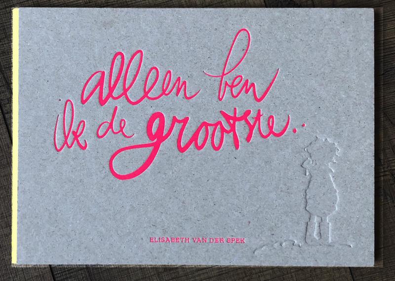 Omslag van Alleen ben ik de grootste