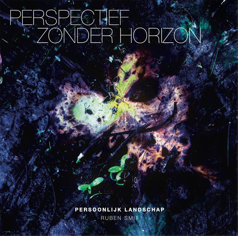 Omslag van Perspectief zonder horizon