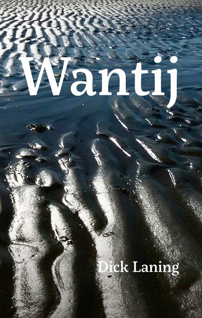Omslag van Wantij