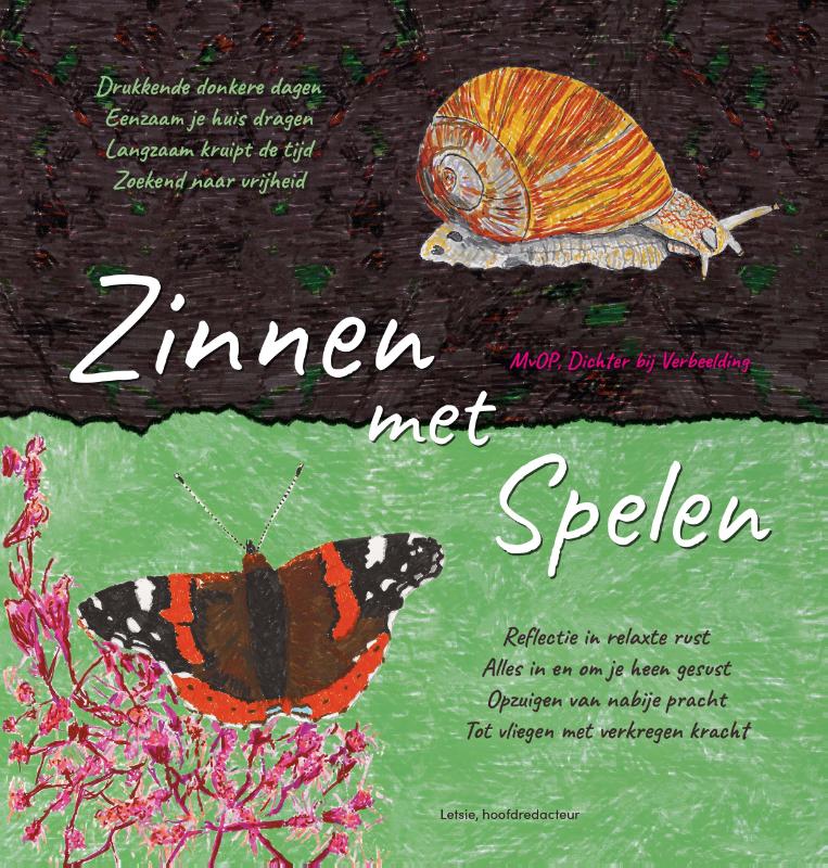 Omslag van Zinnen met Spelen