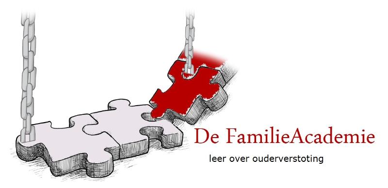 Omslag van Werken met ouderverstotingsproblematiek