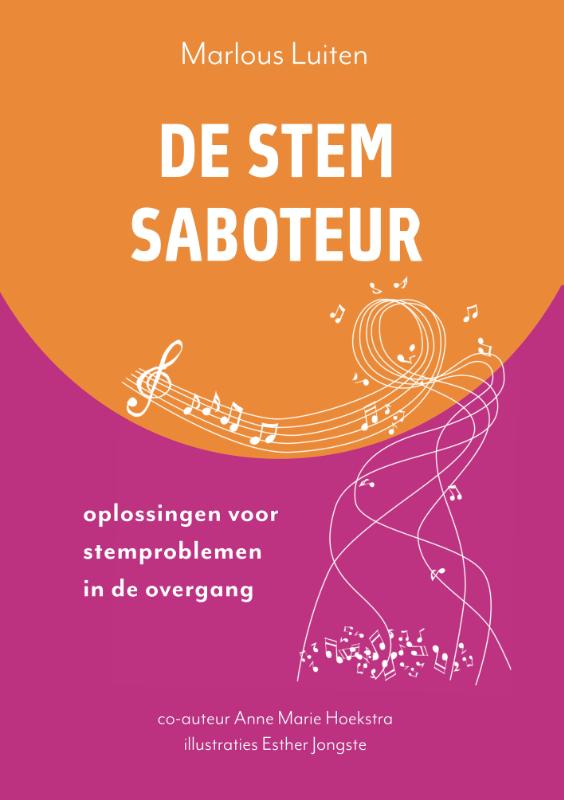 Omslag van De Stemsaboteur